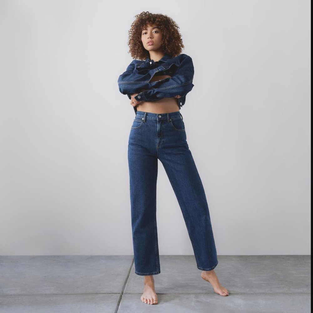 NWOT Everlane The Way-High Jean - Vintage Indigo - 29R